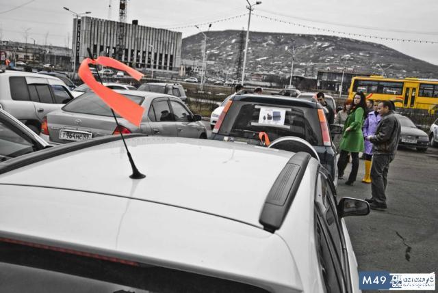 gallery_593_12_340356.jpg
