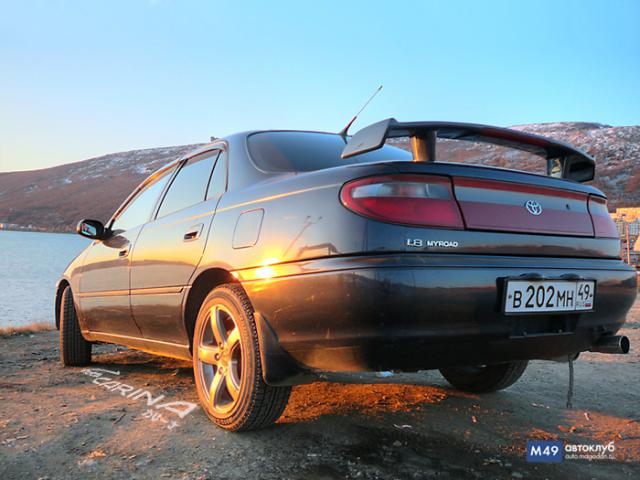 gallery_14_160_56330.jpg
