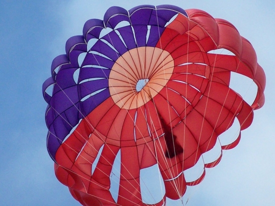 gallery_9_464_67407.jpg