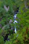 tn_gallery_143_571_1832.jpg