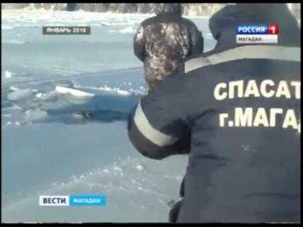 К 1,5 годам исправительных работ городской суд приговорил водителя авто, провалившегося под лед в Магадане « автомагадан